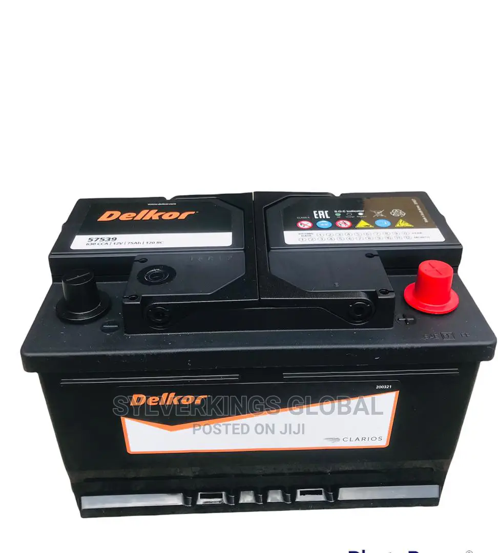 Delkor Quality Motor Battery