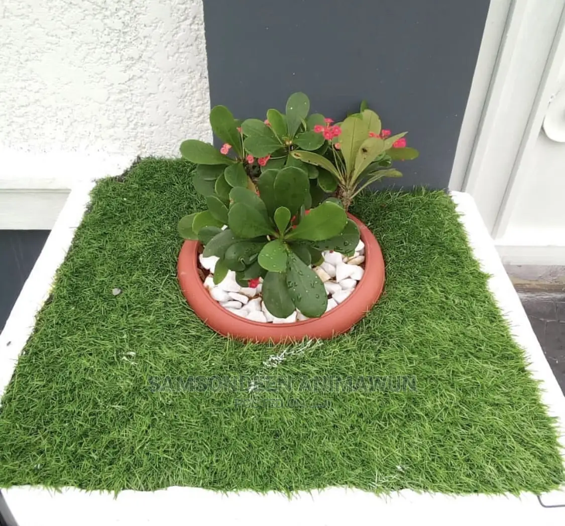 Synthetic Grass