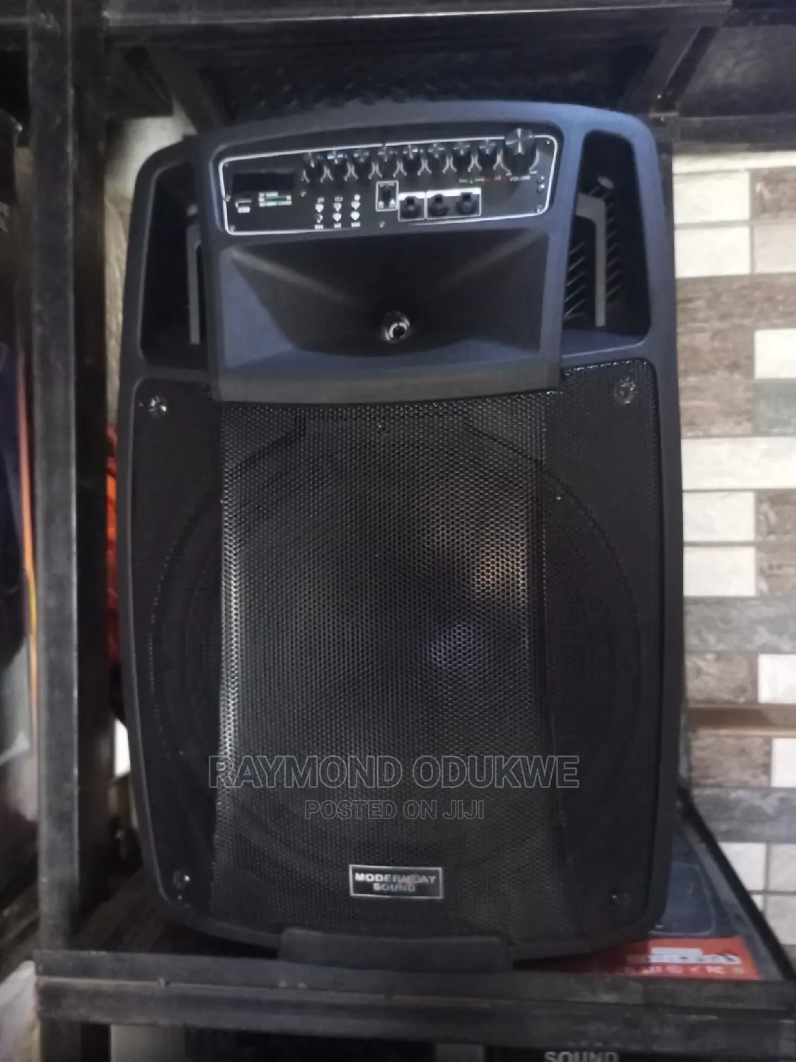 Quality Public Address System With 2pcs Wireless Mics