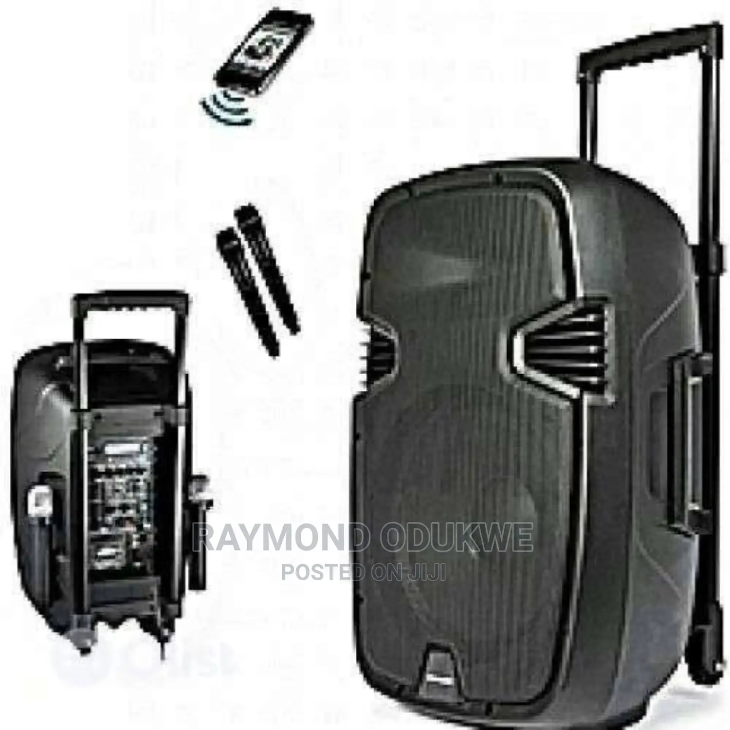 Professional 15" Bluetooth Rechargeable Speakers