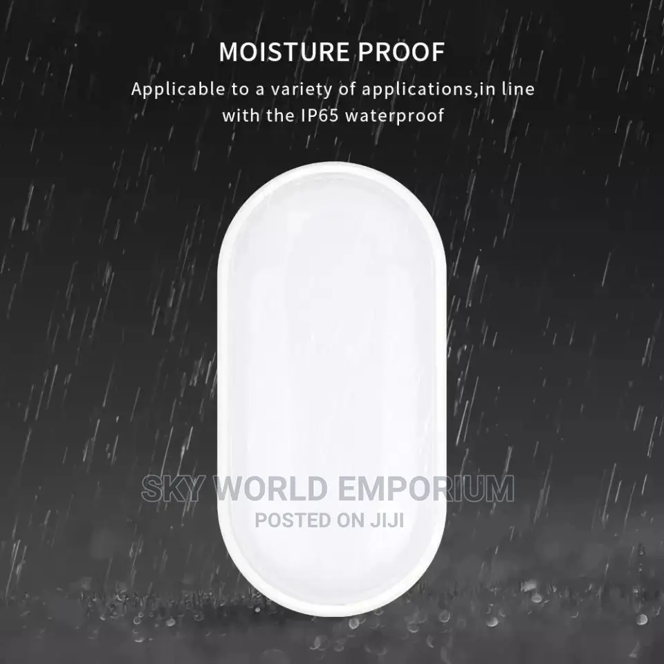 Oval IP65 Waterproof Outdoor Lamp