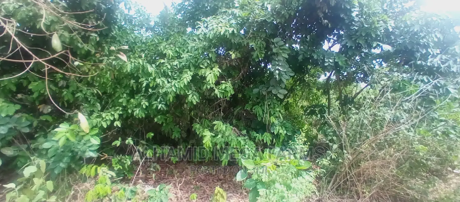 100 Acres of Farm Land at 700,000