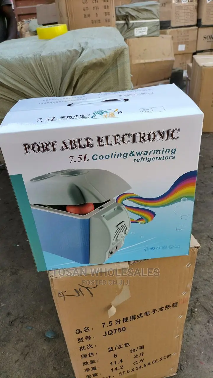 Mini Portable Car Fridge