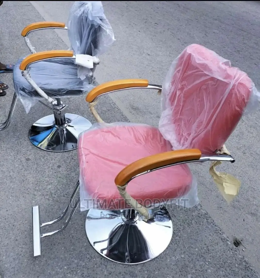 Brand New Salon Chair