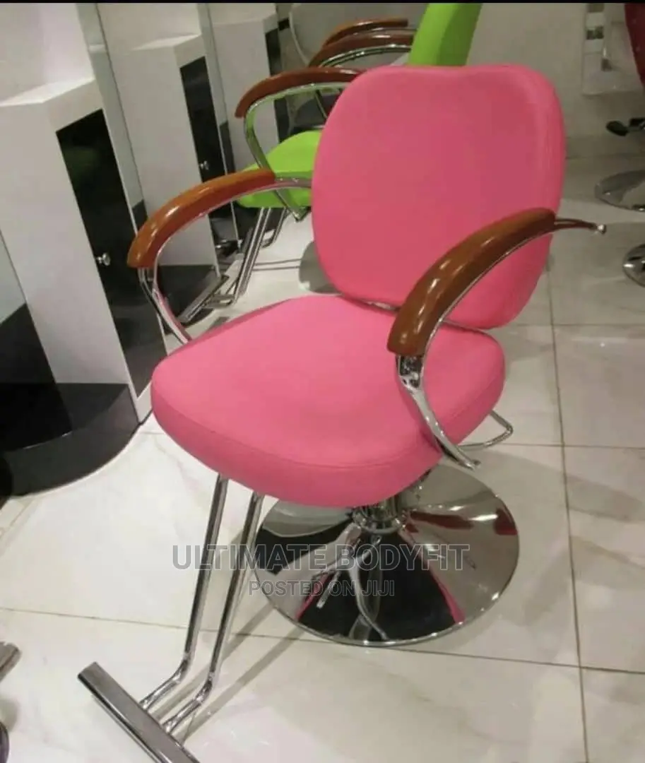 Brand New Salon Chair