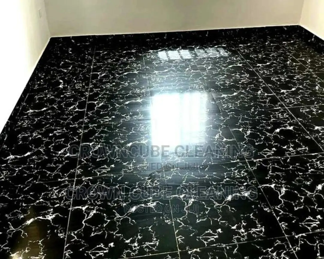 General House Cleaning Services ! House Experts