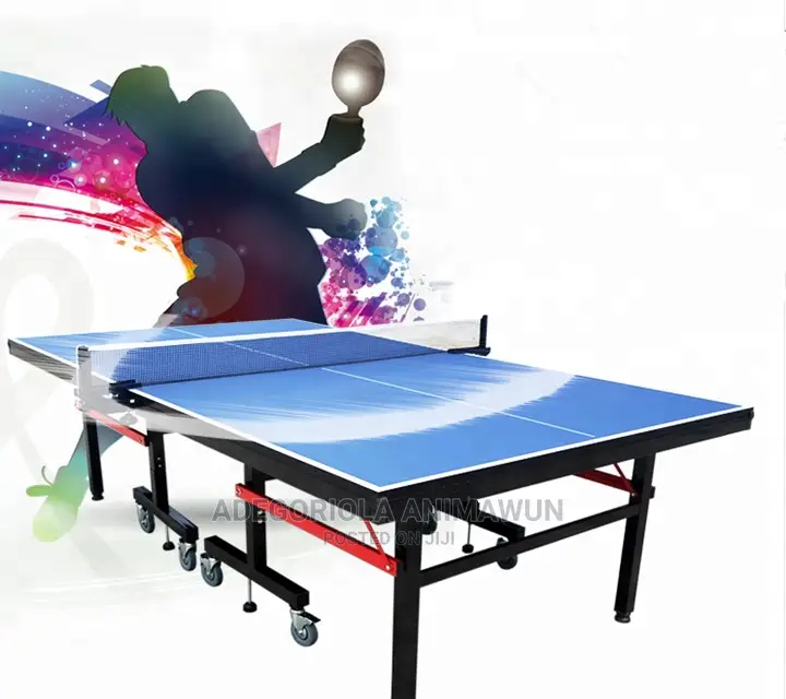 Professional Table Tennis Indoor MDF Board Table Ten