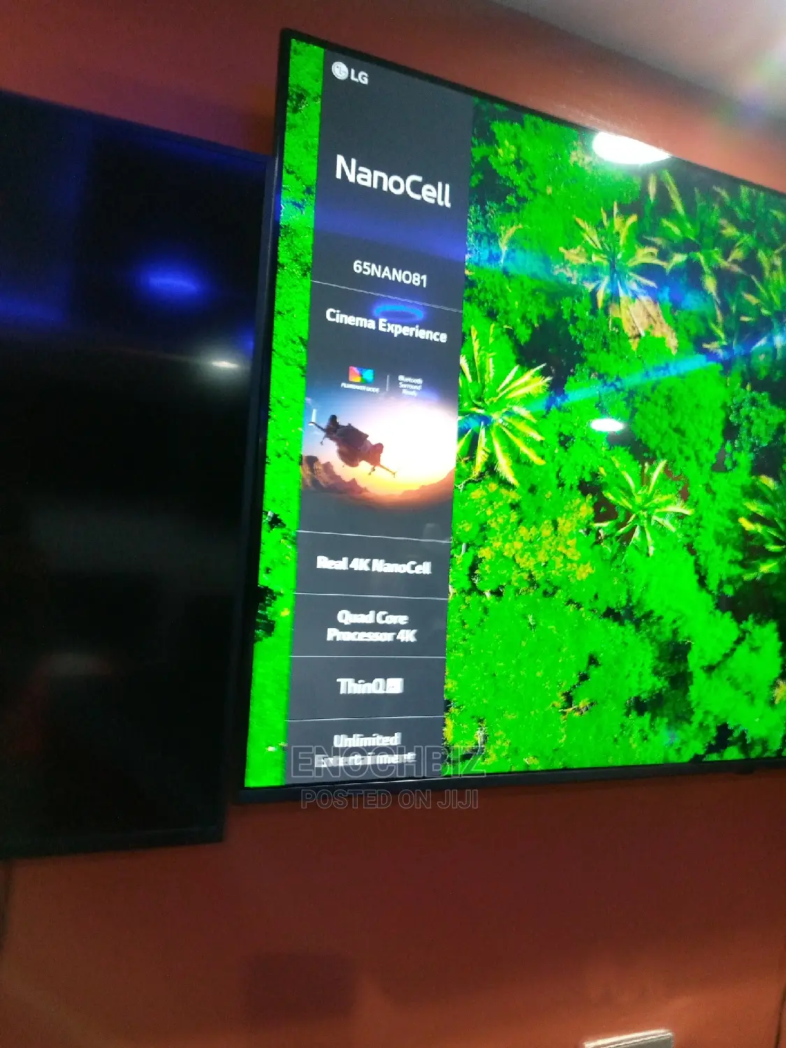 LG 65 Inches Nanocell