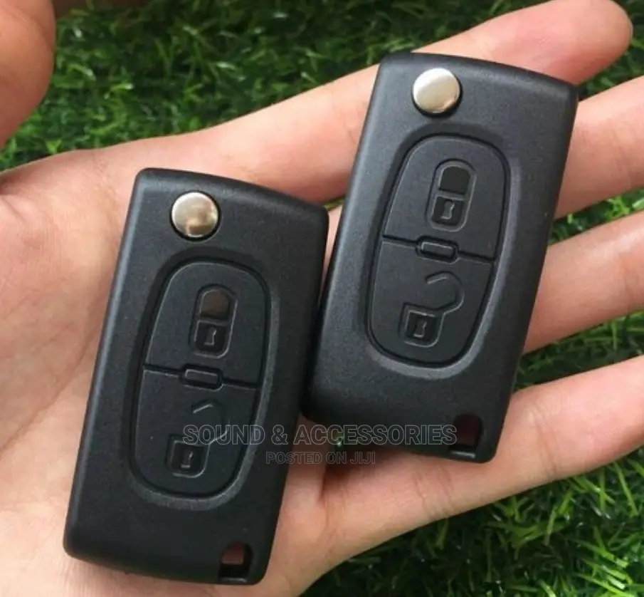 2 Buttons Remote Key Shell for Peugeot 308 307 207 206 407