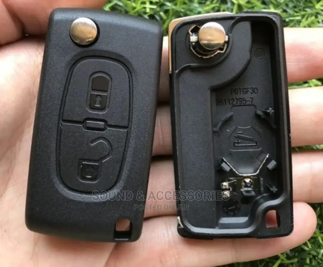 2 Buttons Remote Key Shell for Peugeot 308 307 207 206 407