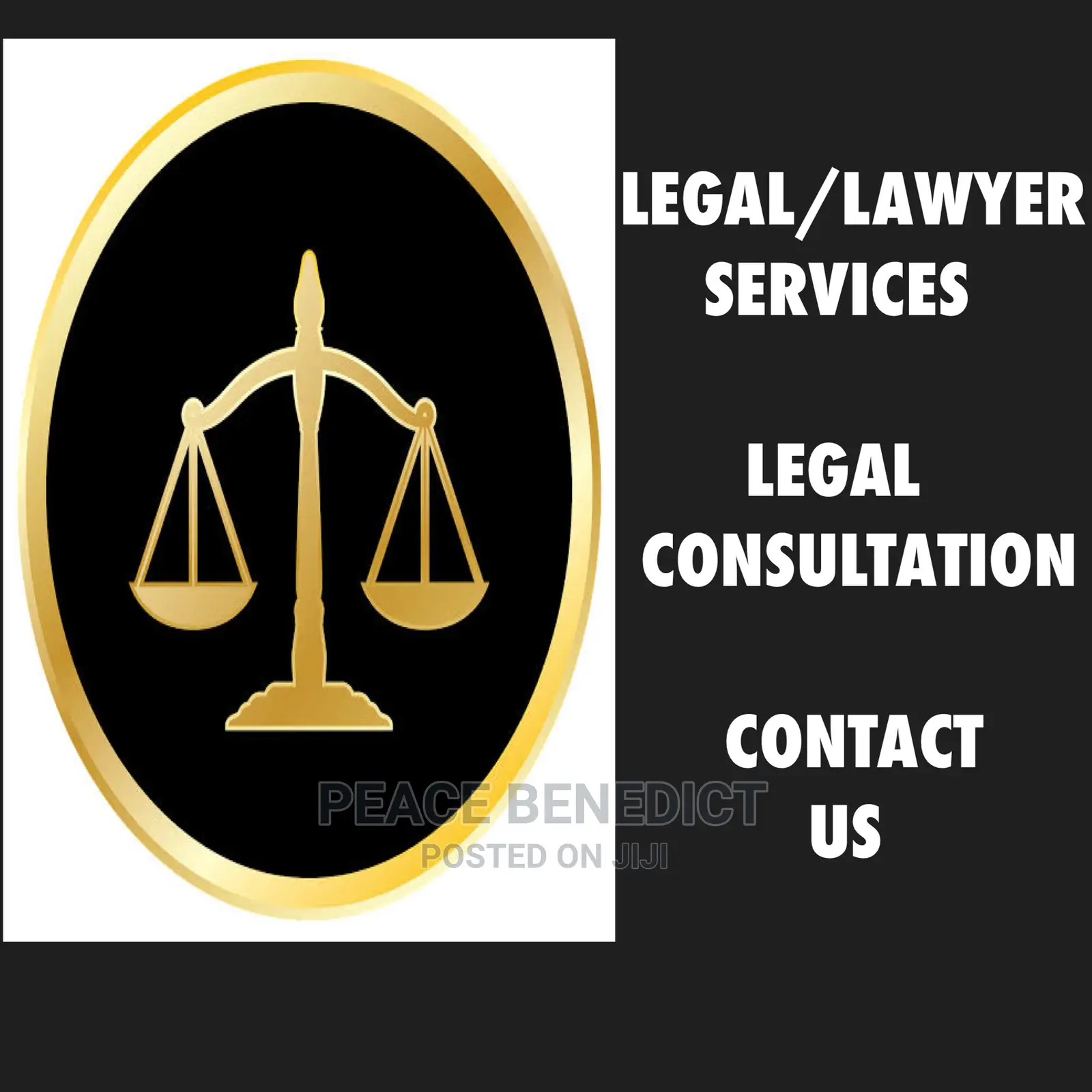 Lawyer/Legal Consultations of All Kind.