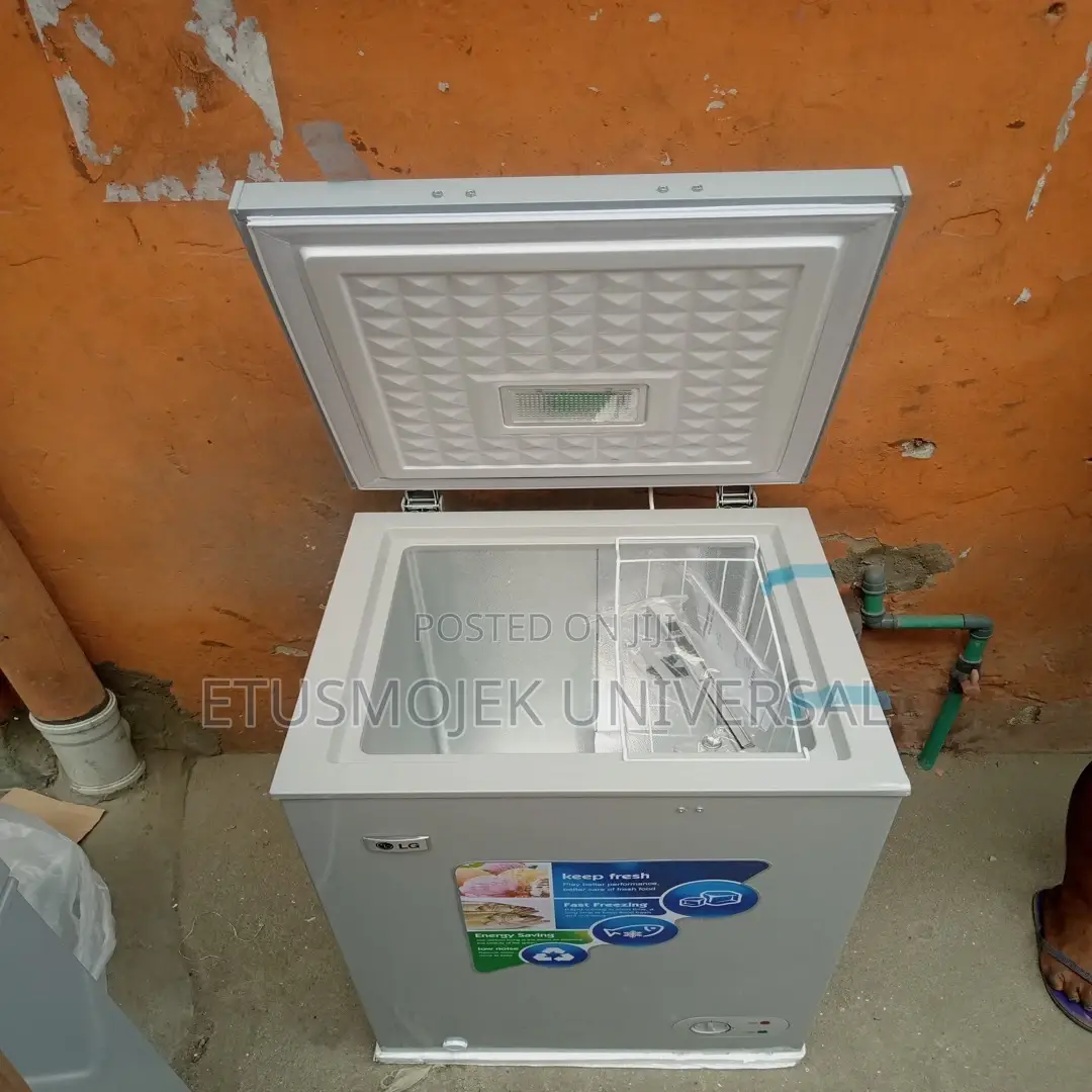 LG Mini Freezer/Model 200/Silver