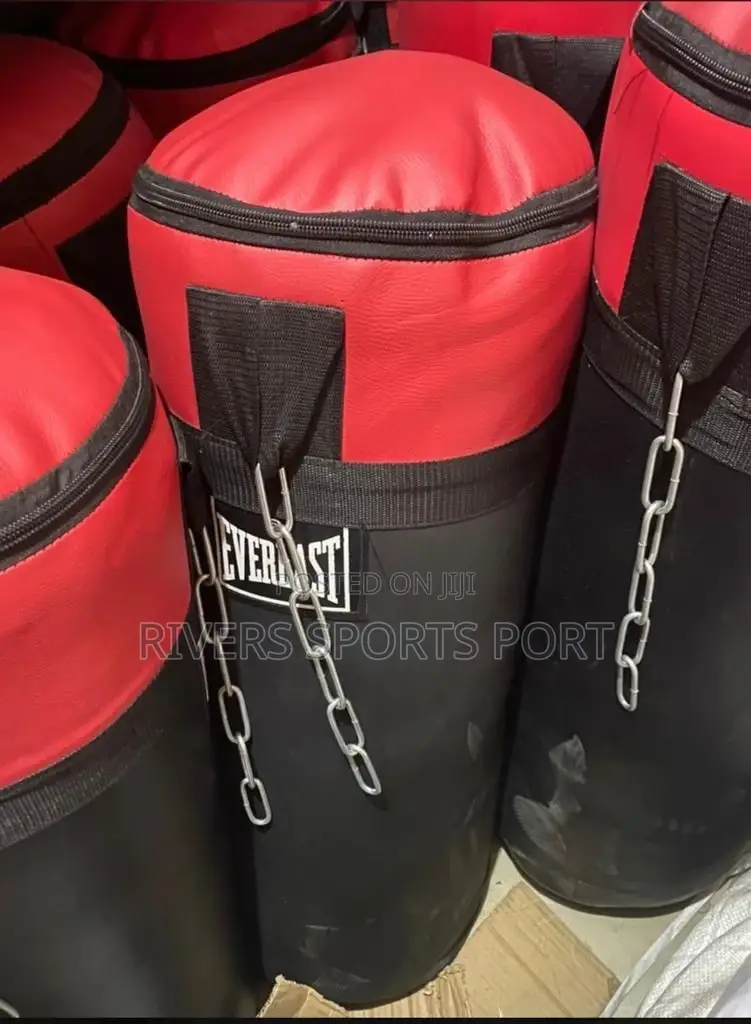 Everlast Punching Boxing Bag