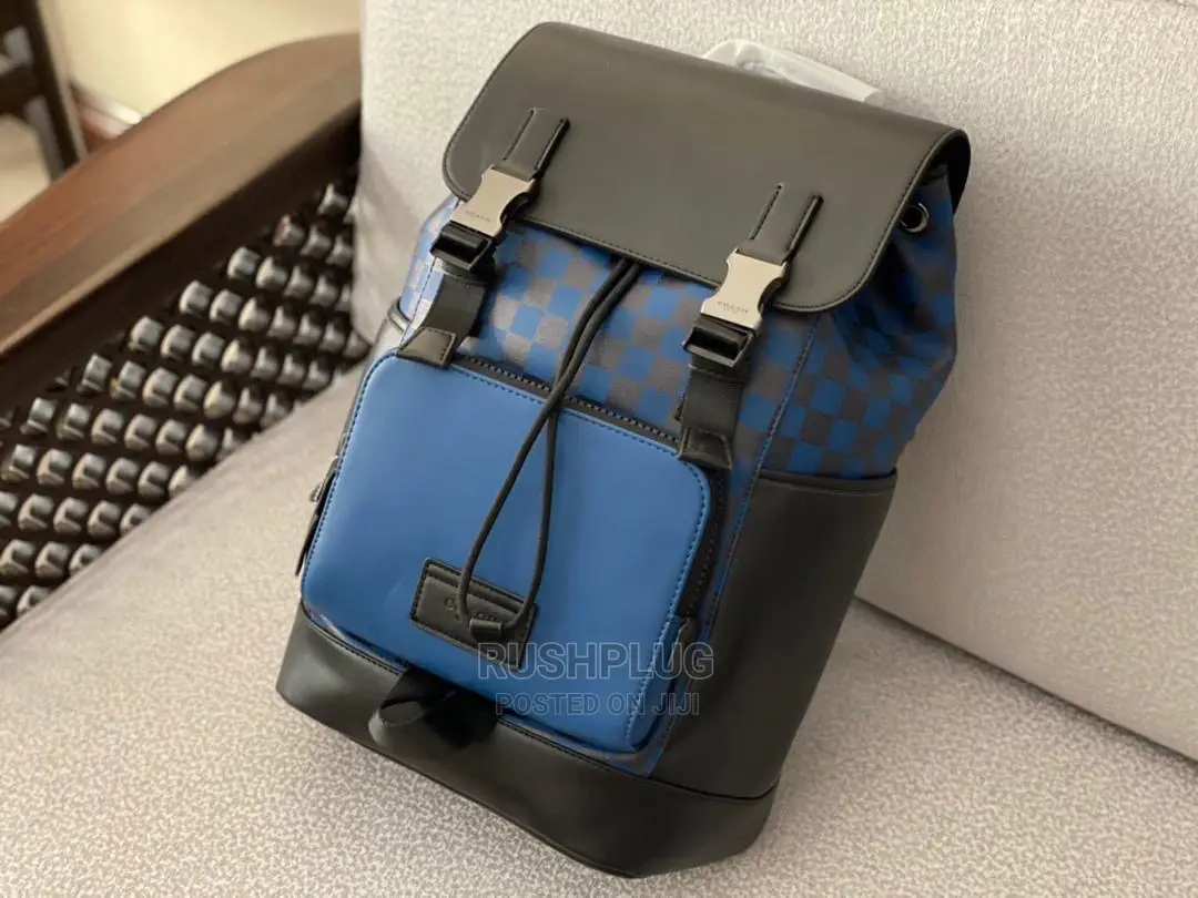 Coach Luxury Leather Backpack