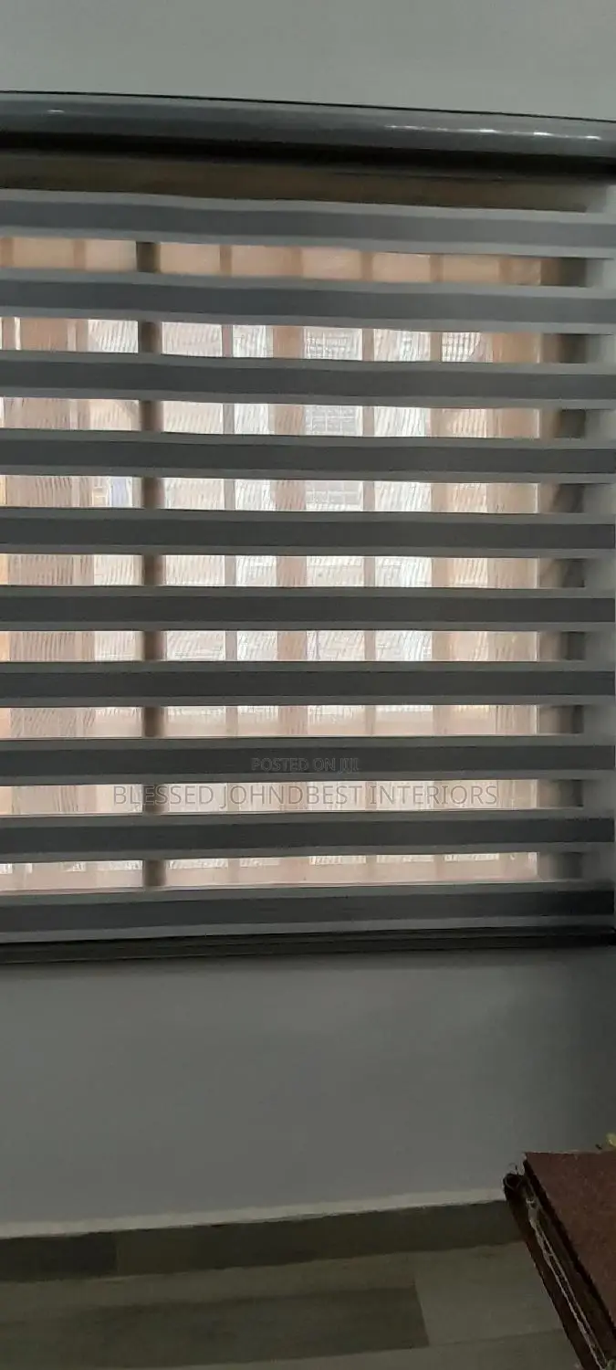 Day and Night Window Blinds