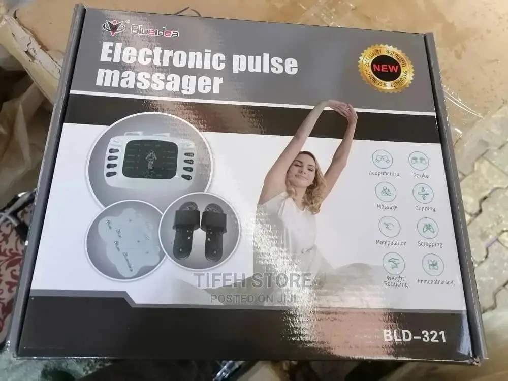 Electronic Pulse Massager