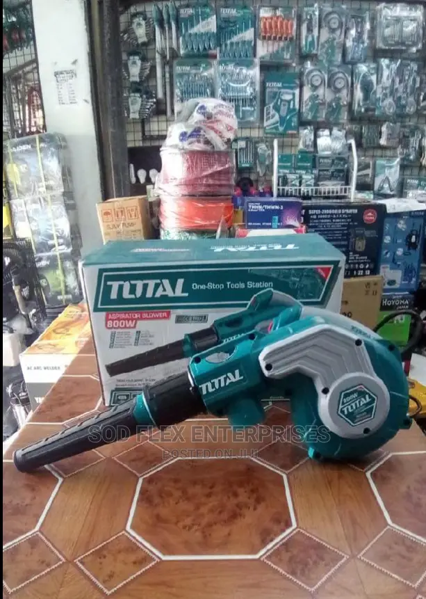 800w Electrical Air Blower