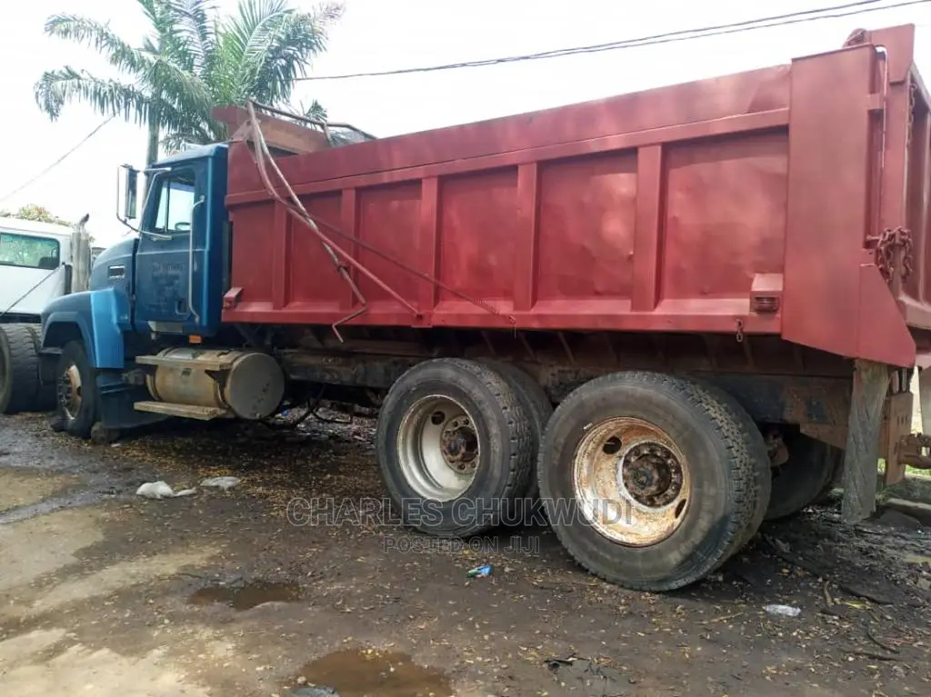 Ch Mack Tipper