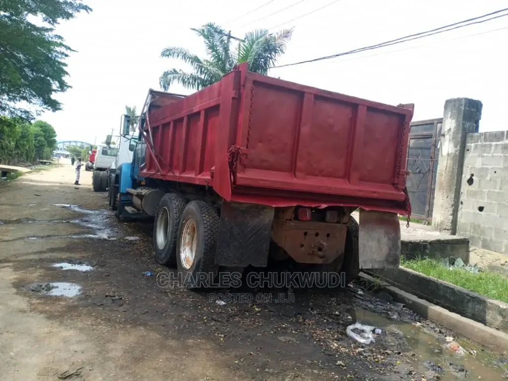 Ch Mack Tipper
