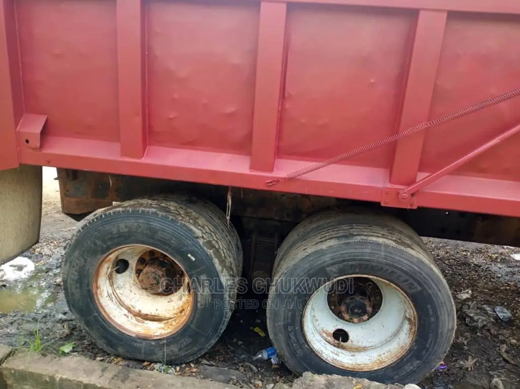 Ch Mack Tipper