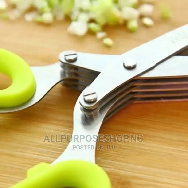 Multi Blades Kitchen Siccors