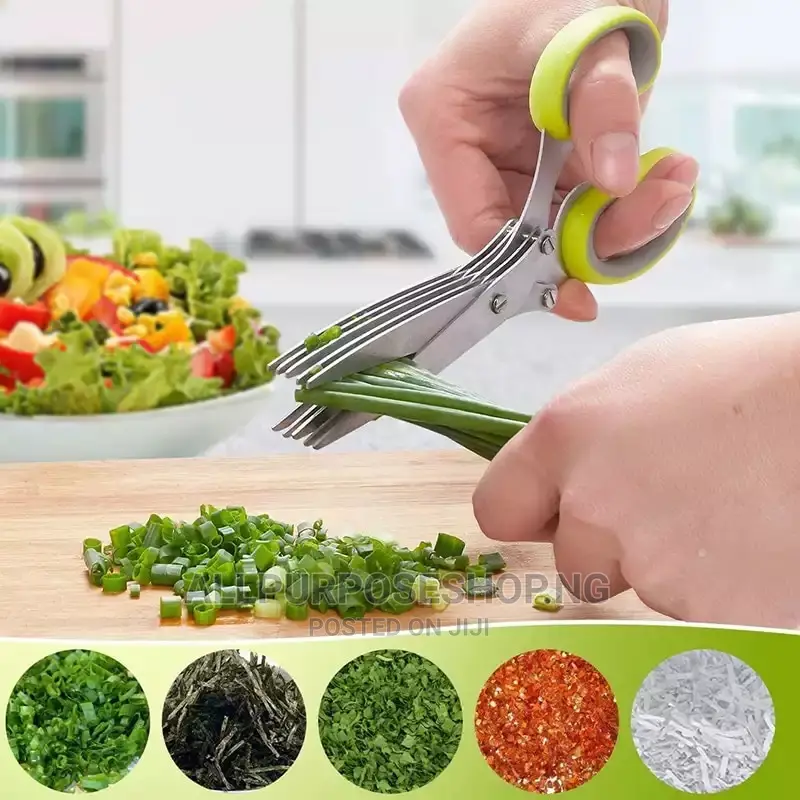 Multi Blades Kitchen Siccors