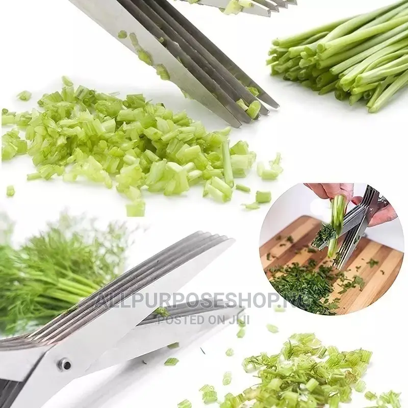 Multi Blades Kitchen Siccors