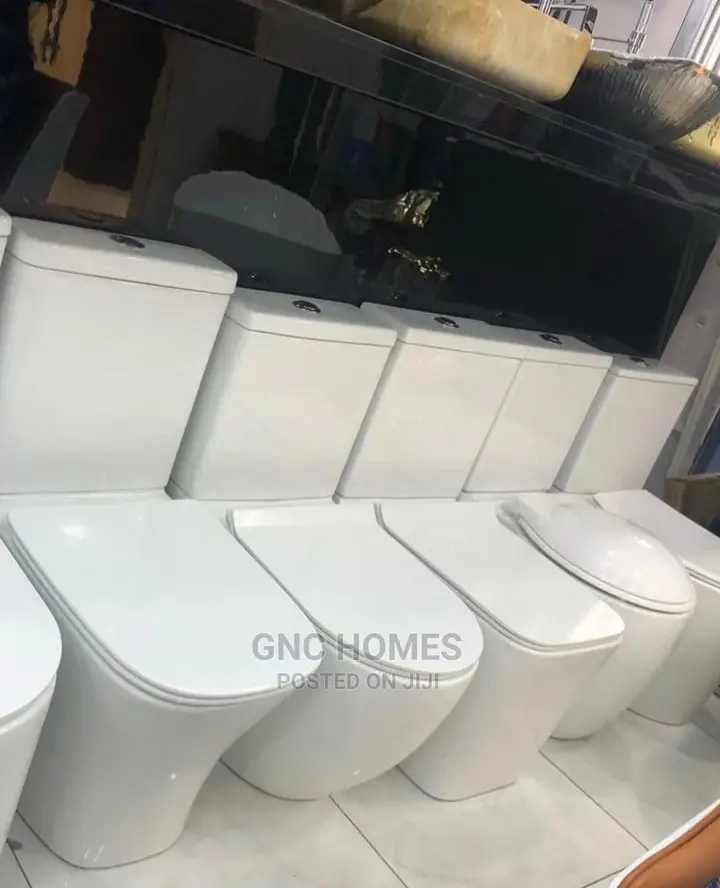 Executive Wc for Masters With Wash Hand Basin England