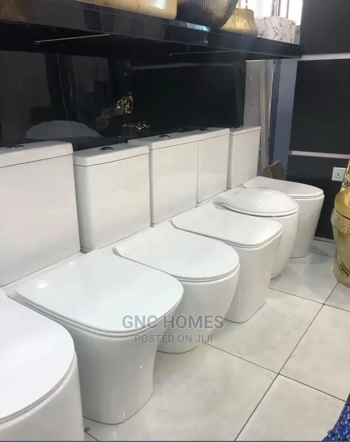 Executive Wc for Masters With Wash Hand Basin England