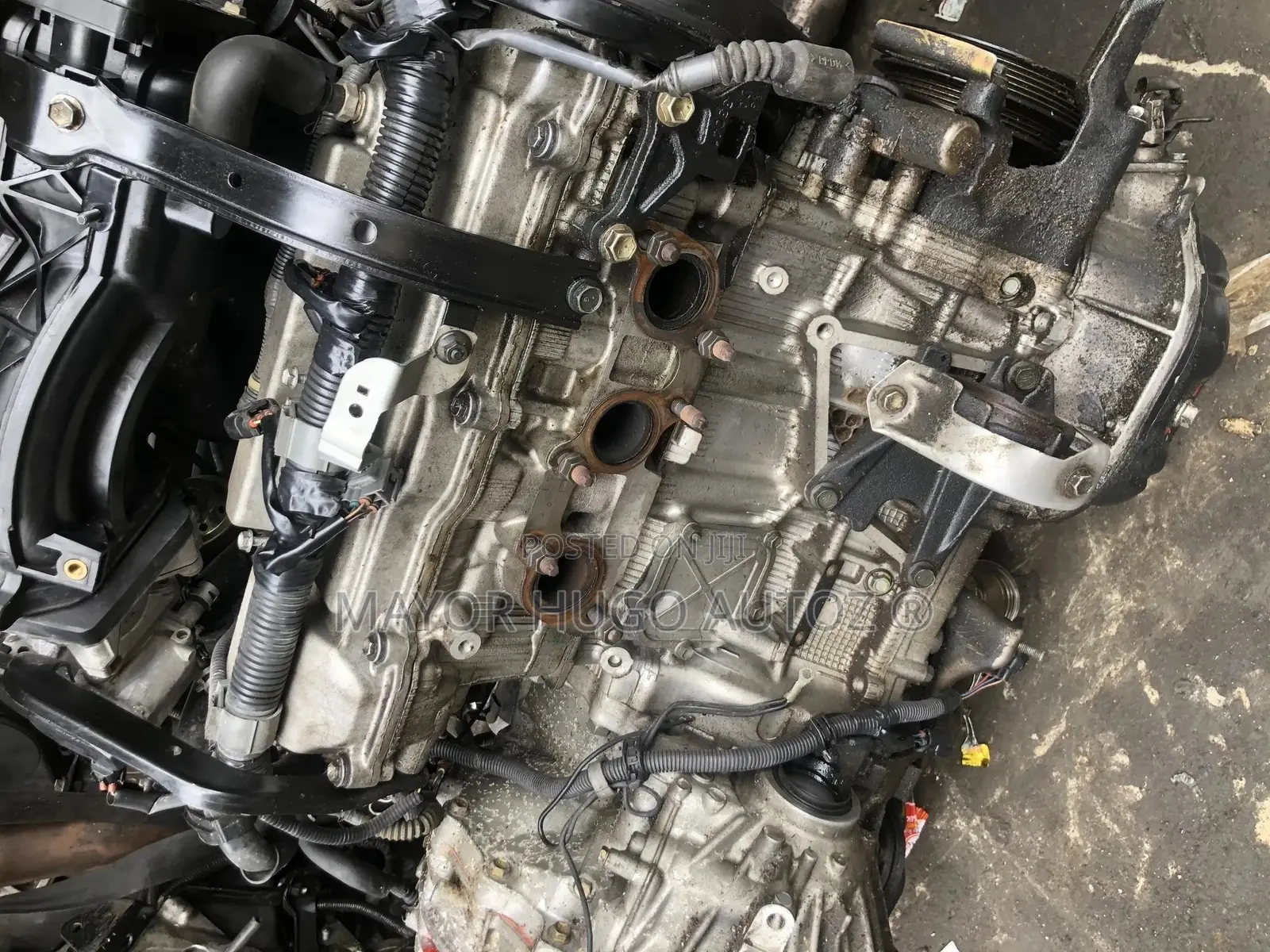 Lexus Rx330 Engine