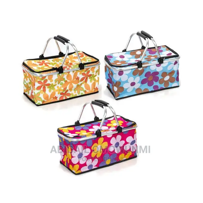 Beautiful Picnic Baskets/Bags for Food