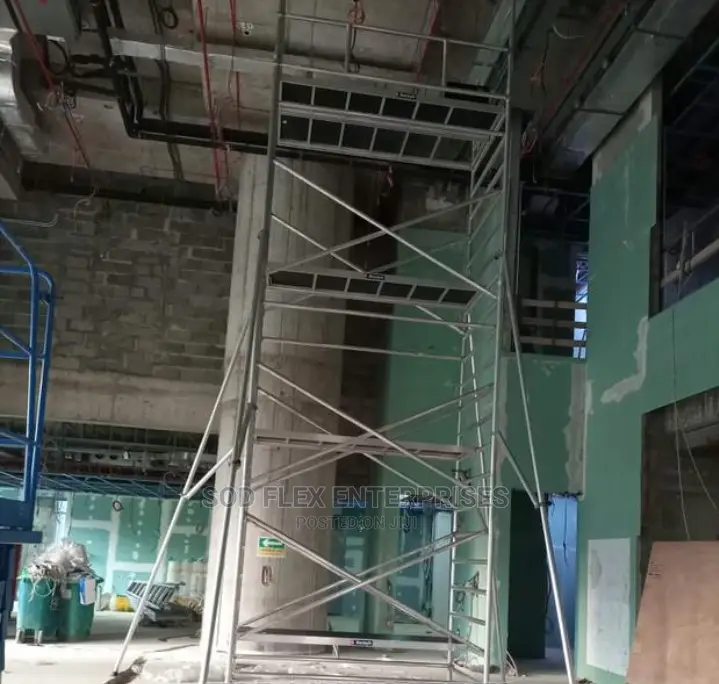 9 Meters Scaffolding Ladder