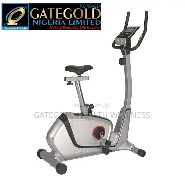 GG8727 Magnetic Bike