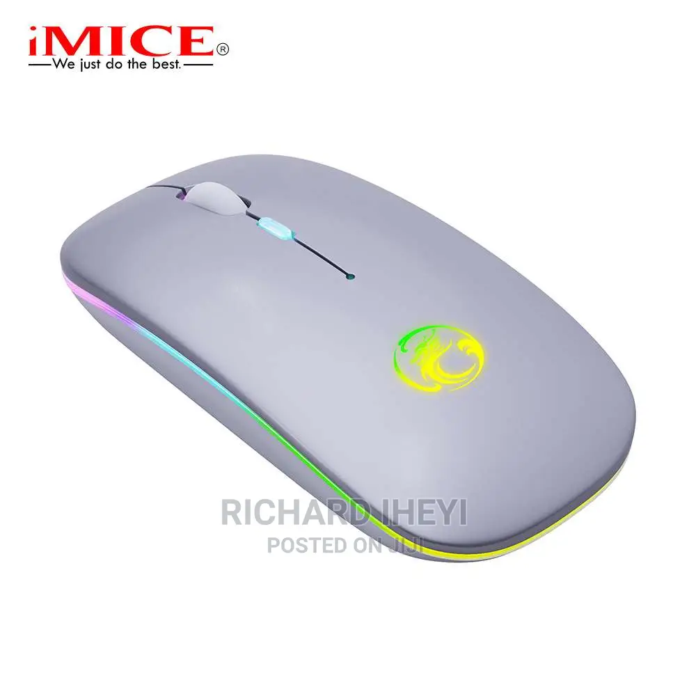 Wireless Mouse Bluetooth RGB Rechargeable Ergonomic Mouse
