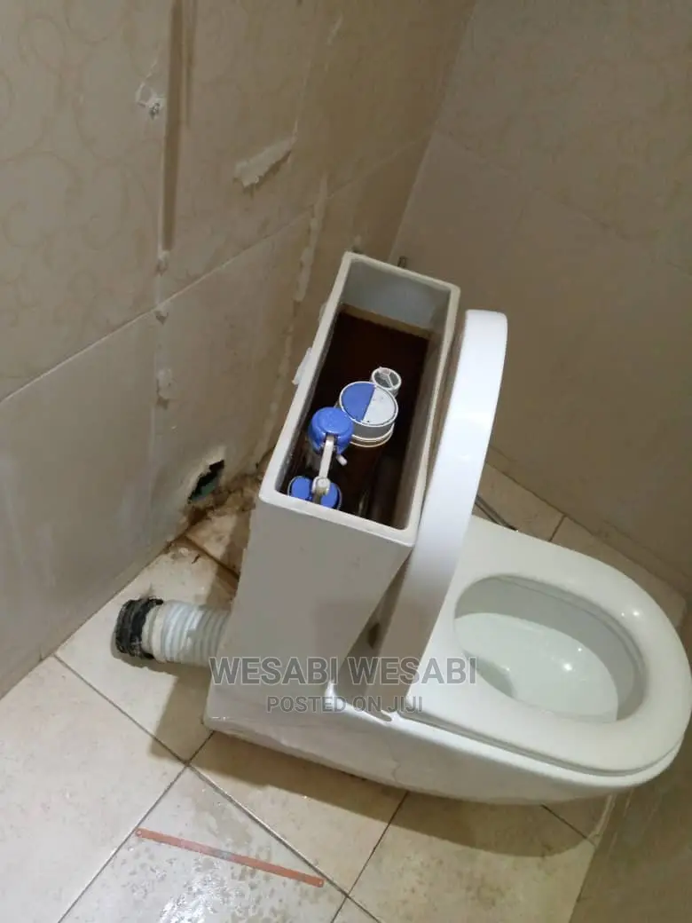 Plumbing Services and Repairs