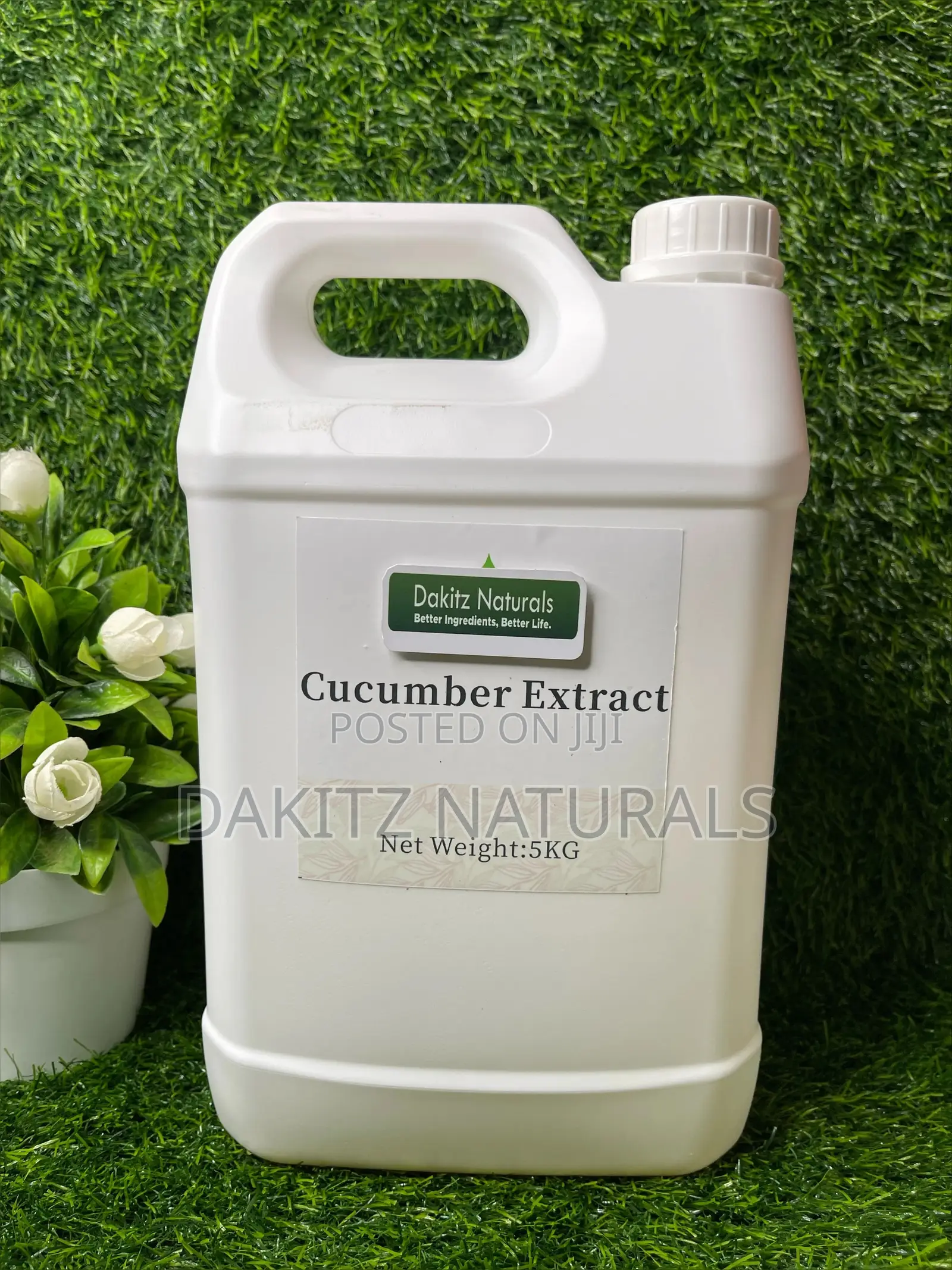 Cucumber Liquid Extract 100% (100ml)