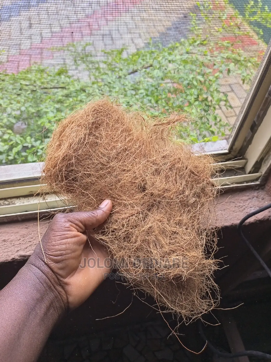 Coconut Fiber for Bio Digester