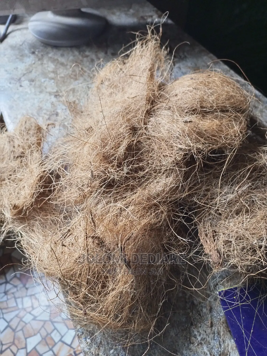 Coconut Fiber for Bio Digester