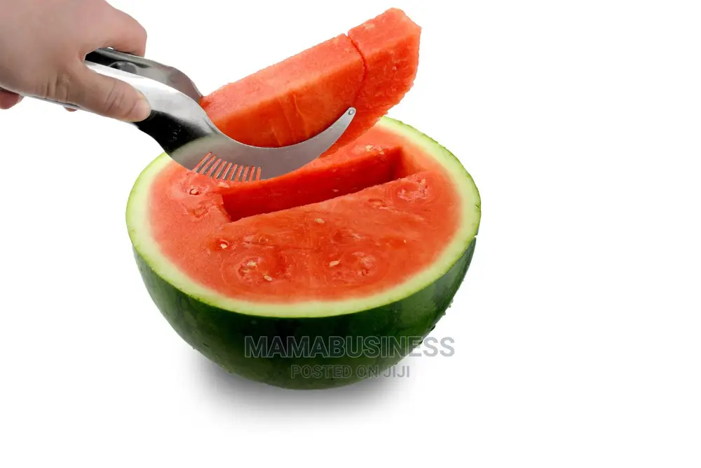 Stainless Steel Watermelon Cutter and Slicer