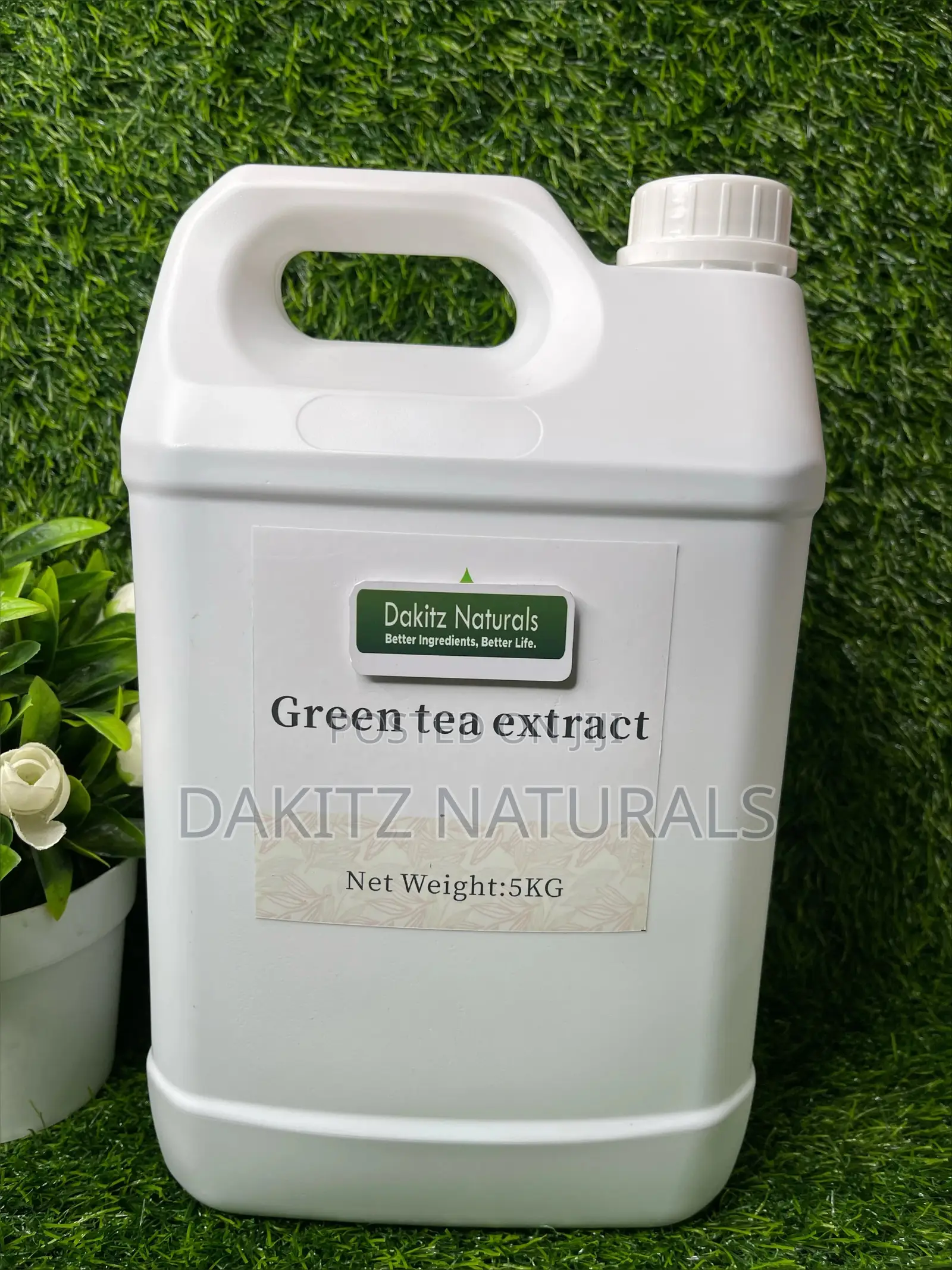 Green Tea Extract 250ml