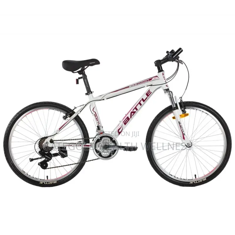 450-24in / Gg-450 24inoutdoor Sports Bike
