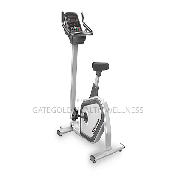 Commercial Upright Bike PU300
