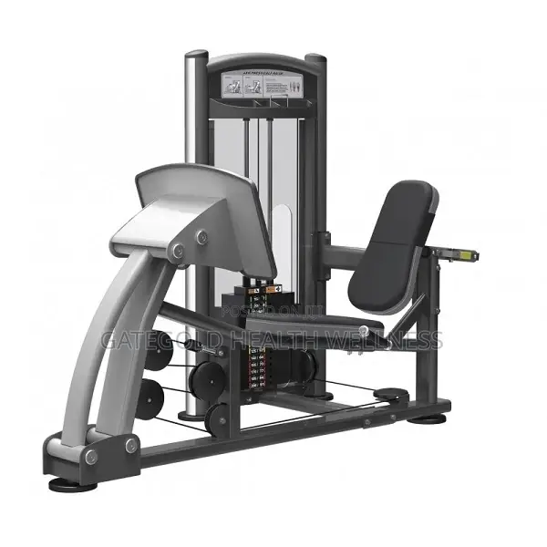 Leg Press IT9310