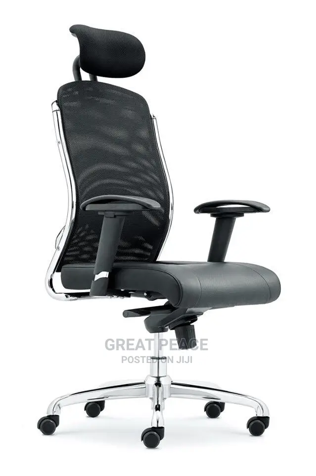 Ergonomic Chair