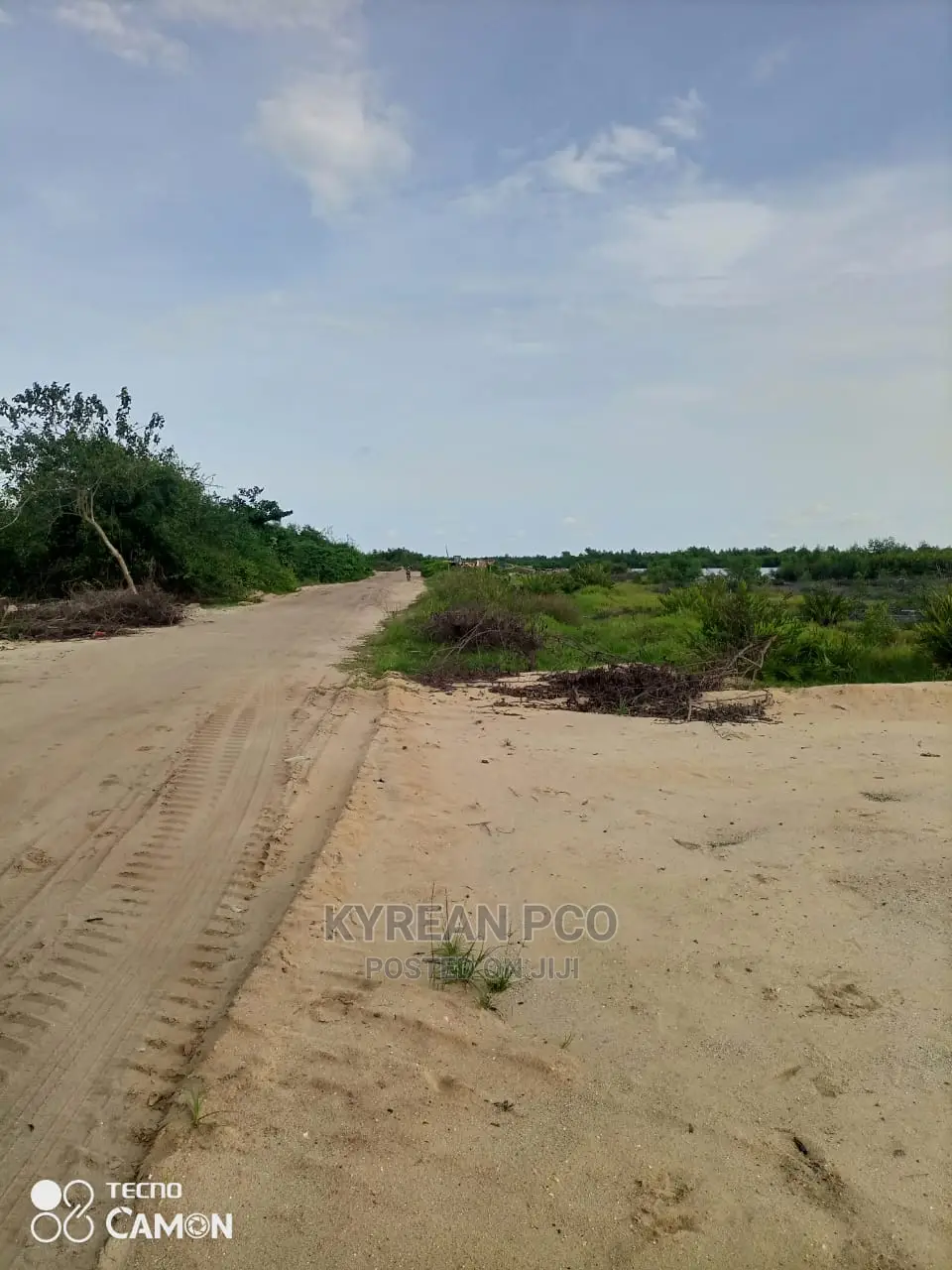 Acres of Water Front Land