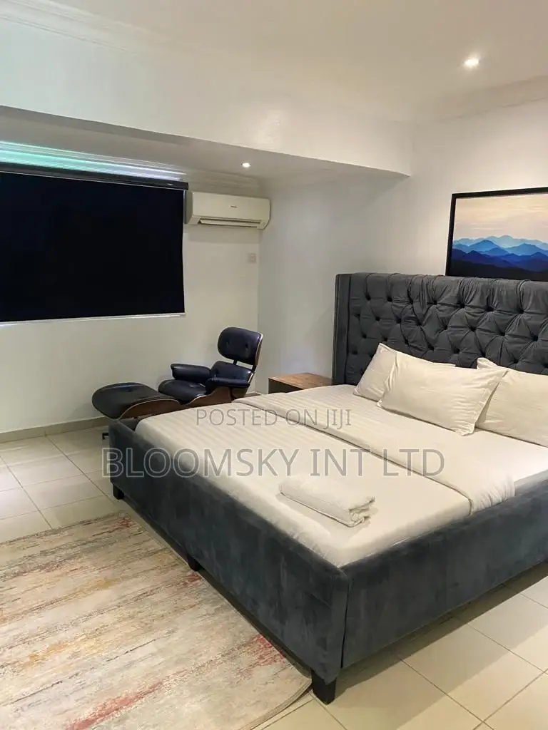 Cozy One Bedroom Apartment in Ikoyi
