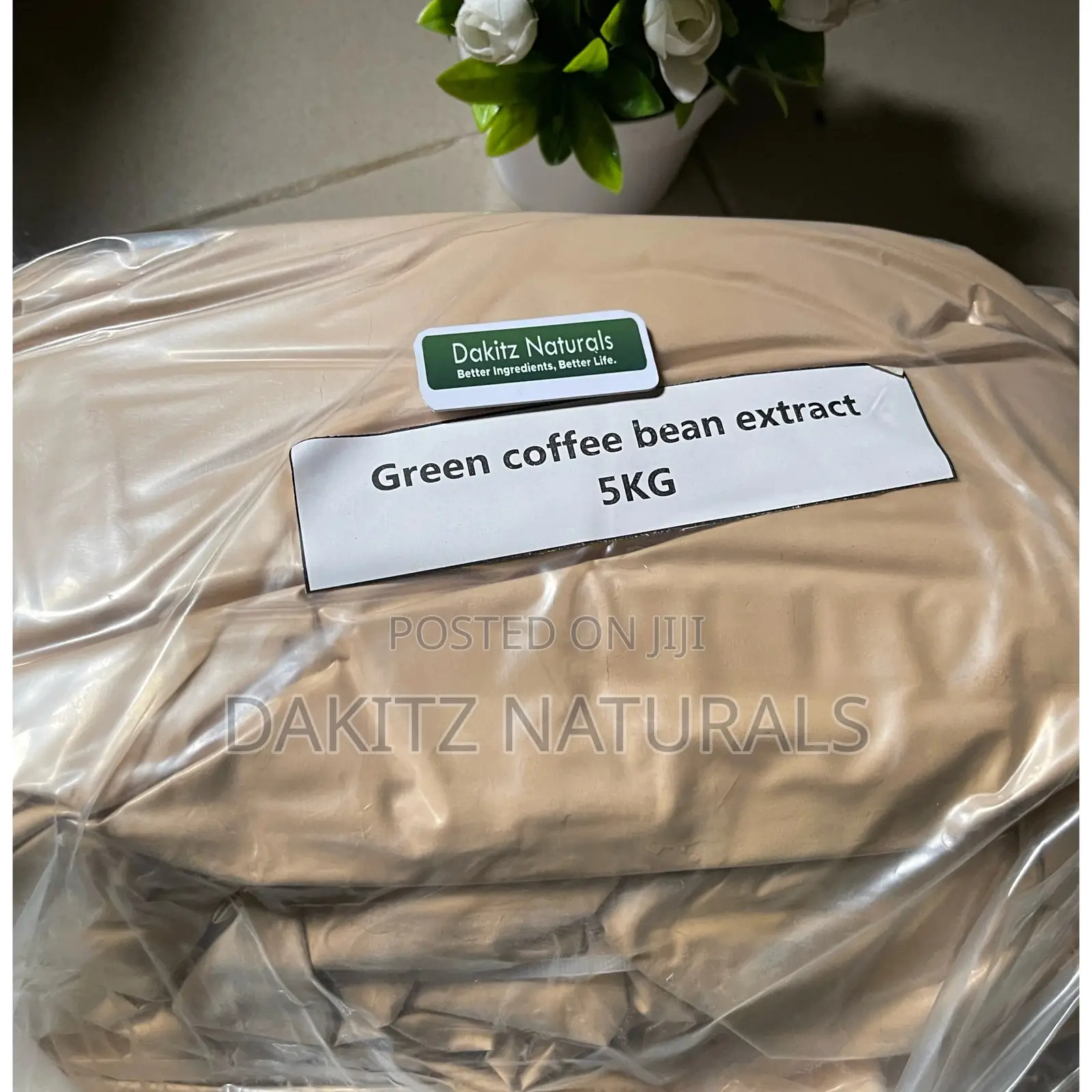 Green Coffee Bean Extract Powder 500g