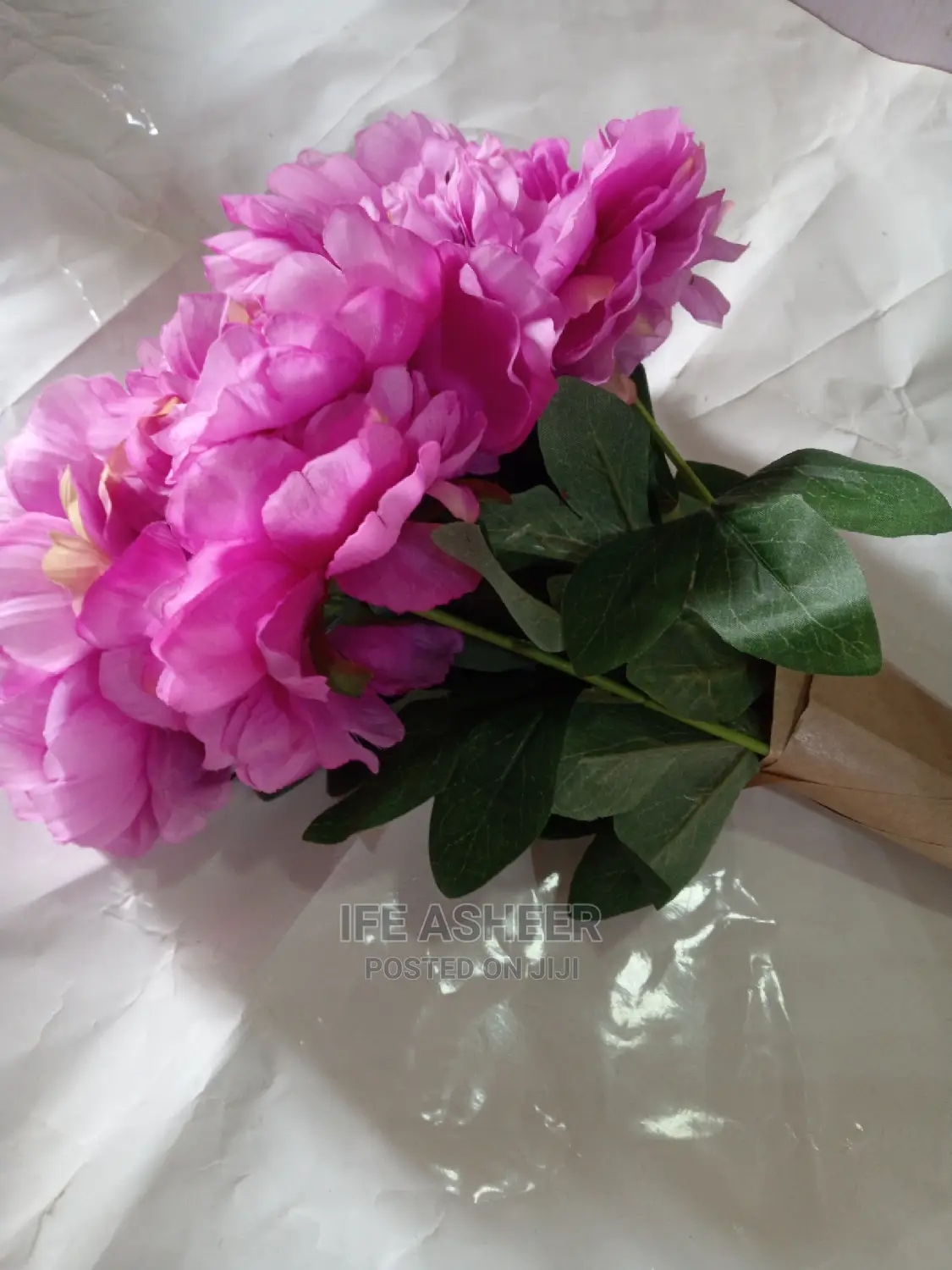 Beautiful Rose Flower For Lovers 003