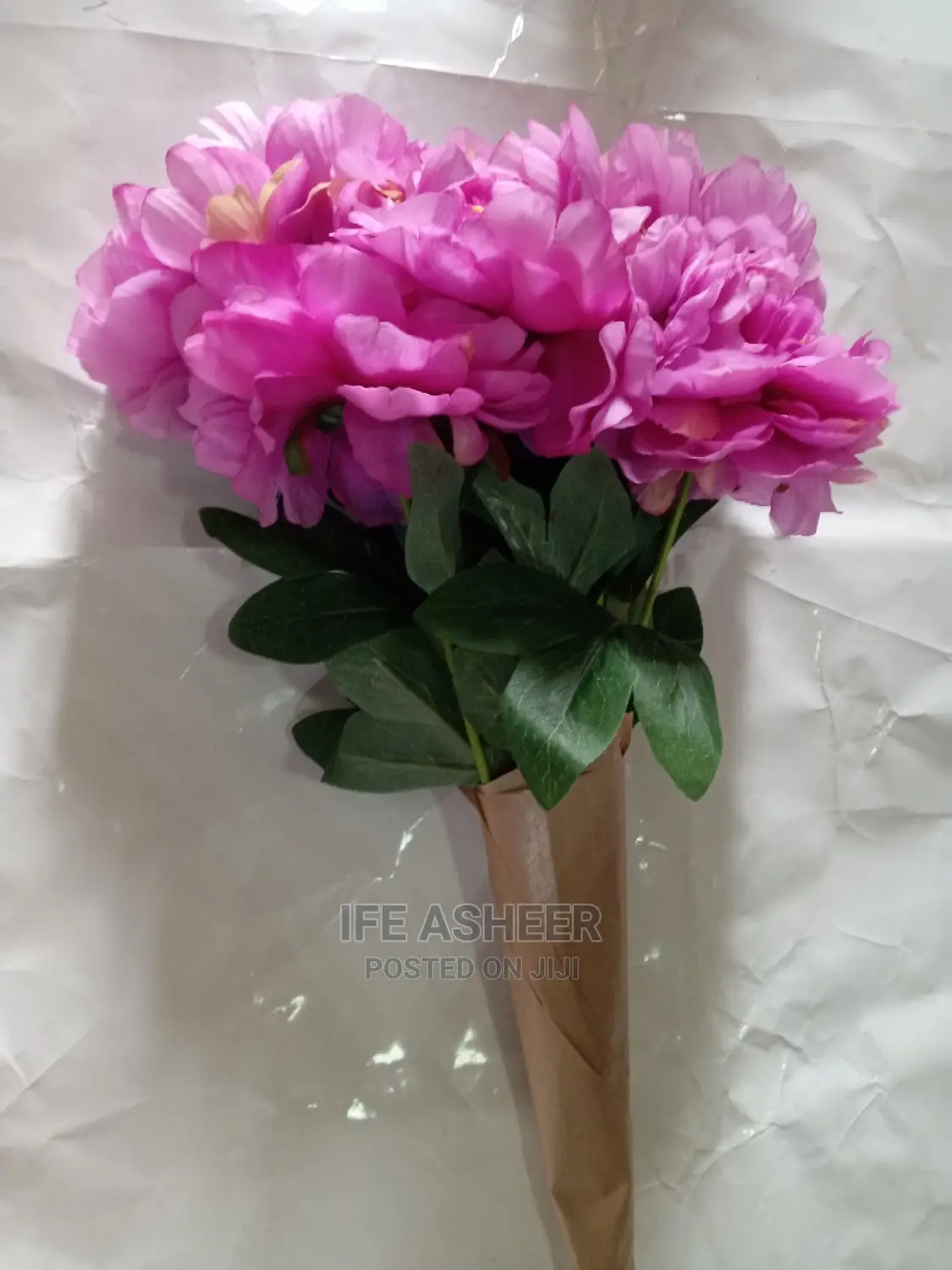 Beautiful Rose Flower For Lovers 003