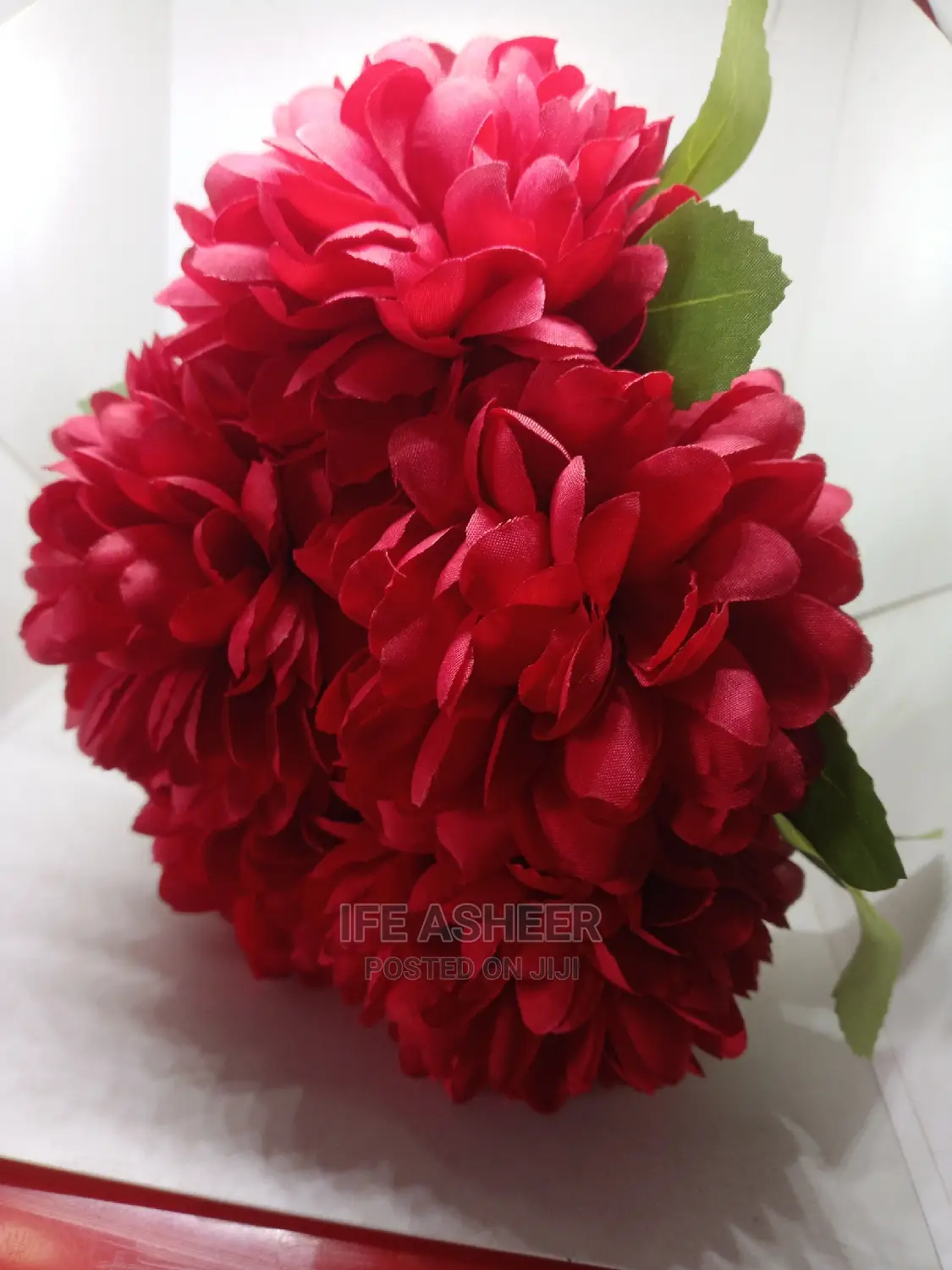 Beautiful Rose Flowers for Lovers 008 - Red